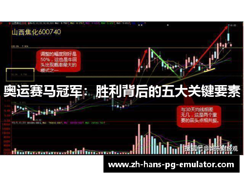 奥运赛马冠军：胜利背后的五大关键要素
