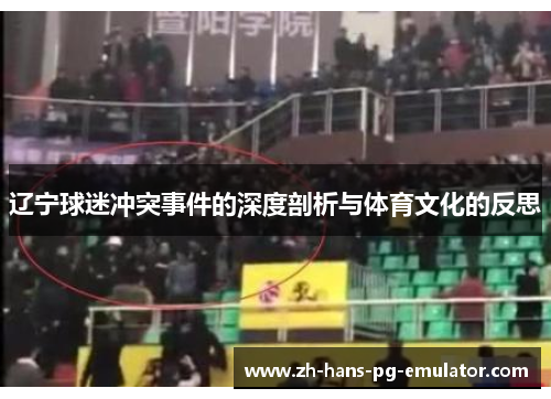 辽宁球迷冲突事件的深度剖析与体育文化的反思 辽宁球迷冲突事件的深度剖析与体育文化的反思