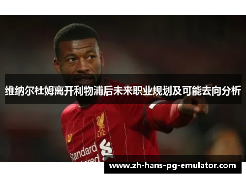 维纳尔杜姆离开利物浦后未来职业规划及可能去向分析